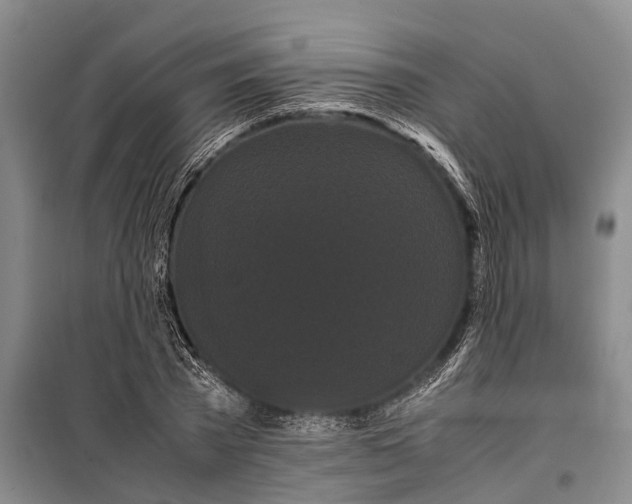 X0000099430785200805301428