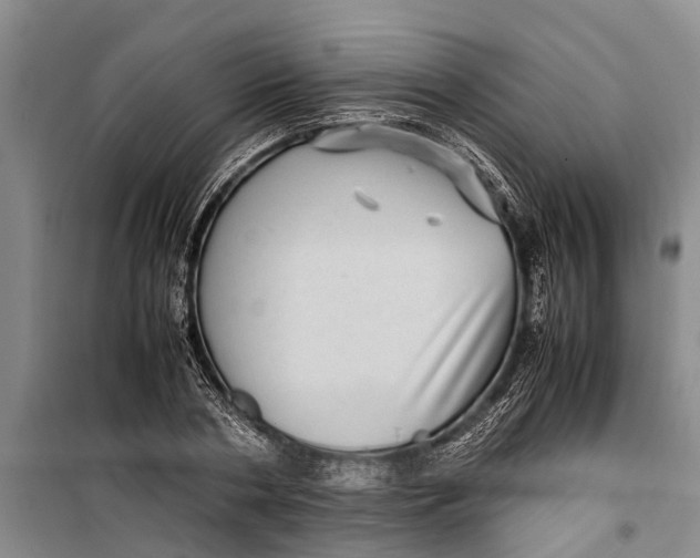 X0000099430786200805301428