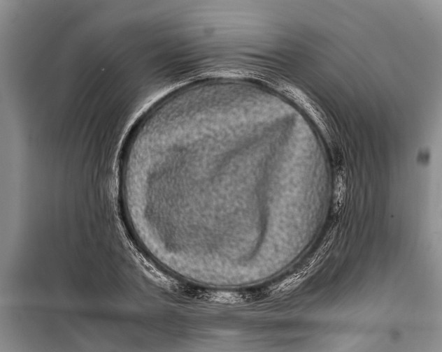 X0000099430787200805301428