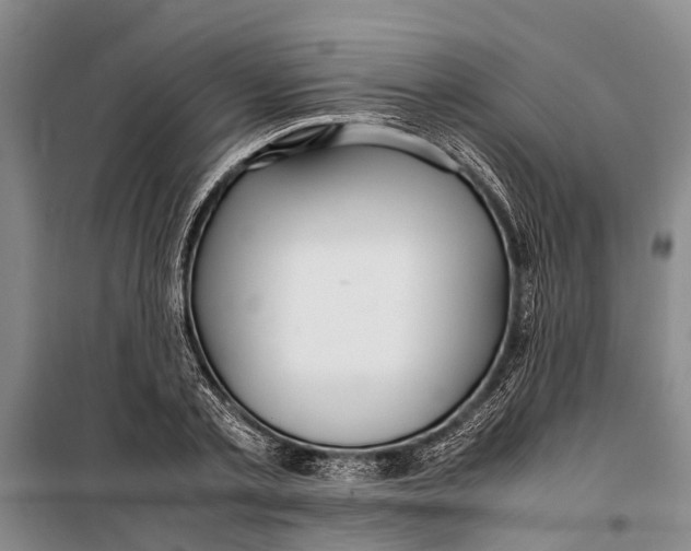 X0000099430789200805301428