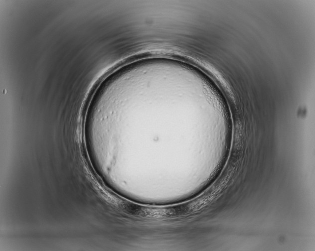 X0000099430791200805301428