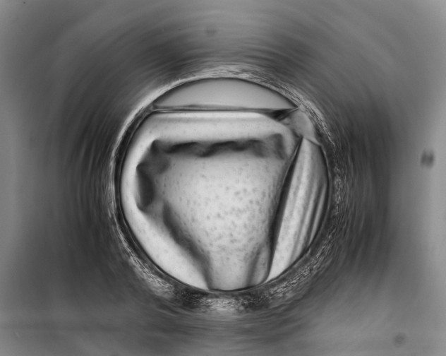 X0000099430792200805301428