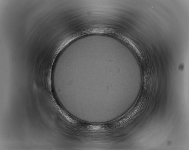 X0000099430794200805301428