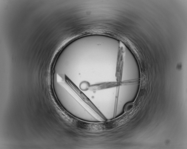 X0000099430795200805301428