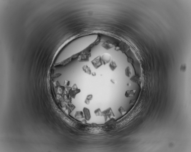 X0000099430798200805301427