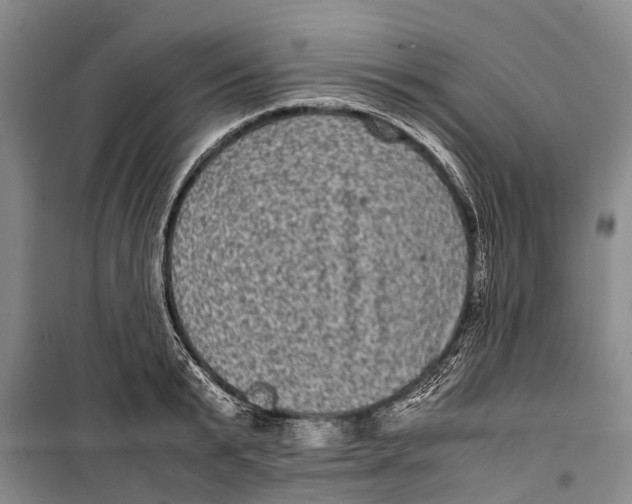 X0000099430799200805301427