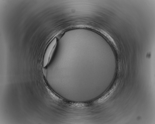 X0000099430801200805301427