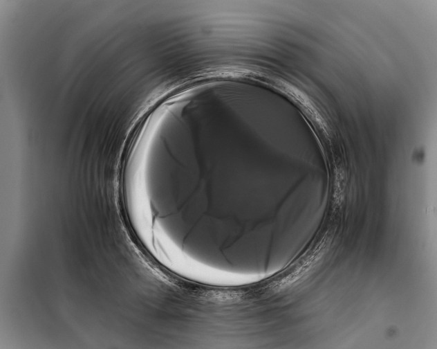 X0000099430802200805301427