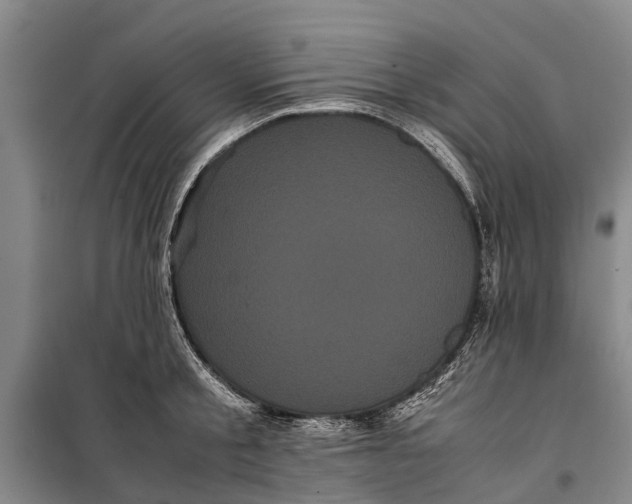 X0000099430805200805301427