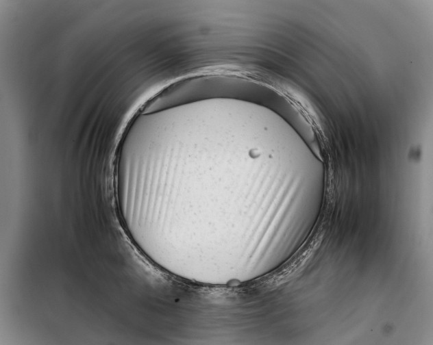 X0000099430808200805301427