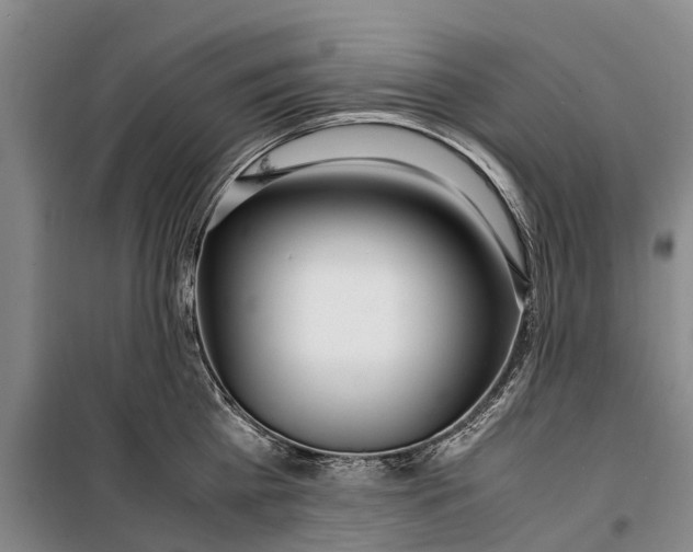 X0000099430809200805301427