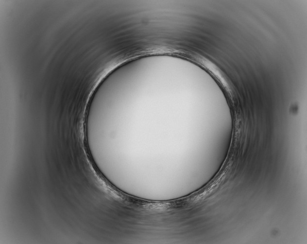 X0000099430810200805301427