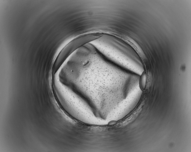 X0000099430812200805301427