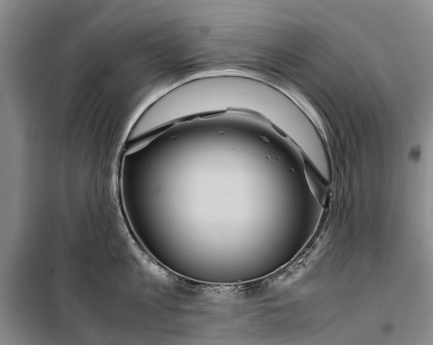 X0000099430813200805301427