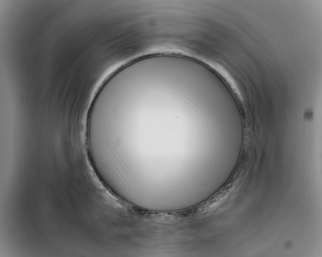 X0000099430815200805301427