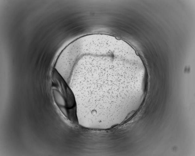 X0000099430816200805301427