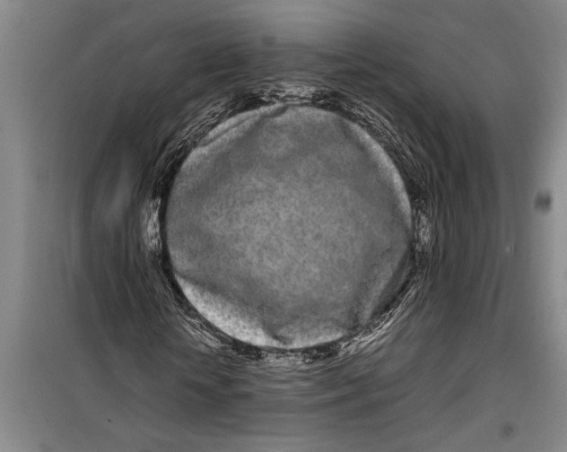 X0000099430818200805301427