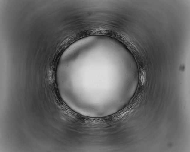 X0000099430819200805301427