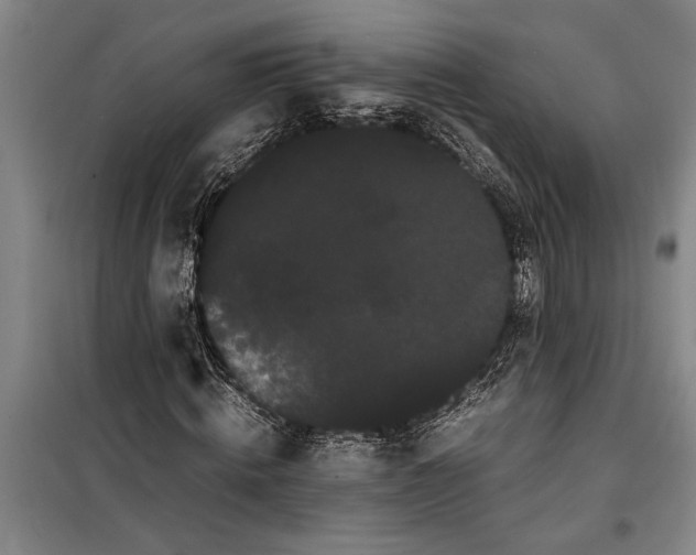 X0000099430820200805301427