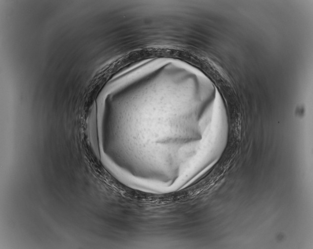 X0000099430821200805301427