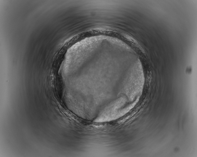 X0000099430822200805301427