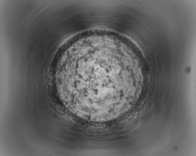 X0000099430823200805301427