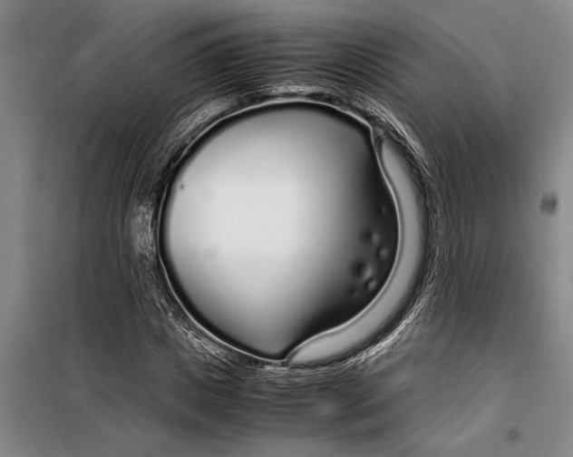 X0000099430825200805301427