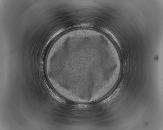 X0000099430827200805301427