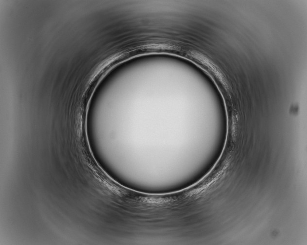 X0000099430829200805301427