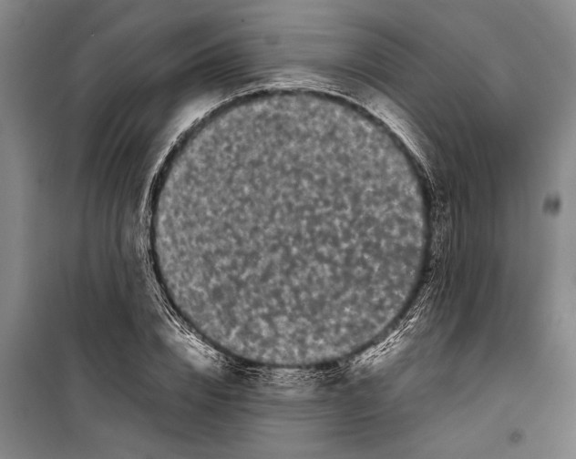 X0000099430832200805301427