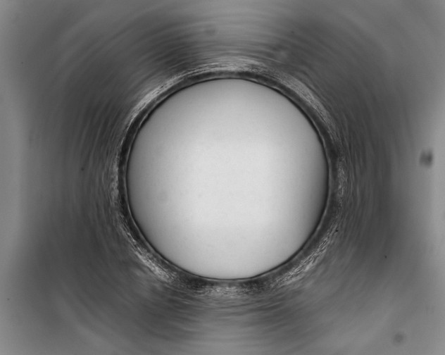 X0000099430834200805301427