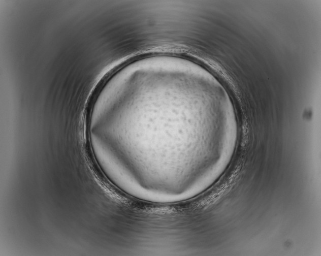 X0000099430838200805301427