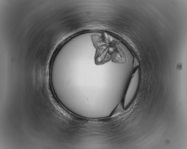 X0000099430840200805301427