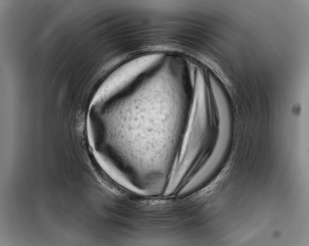 X0000099430841200805301427