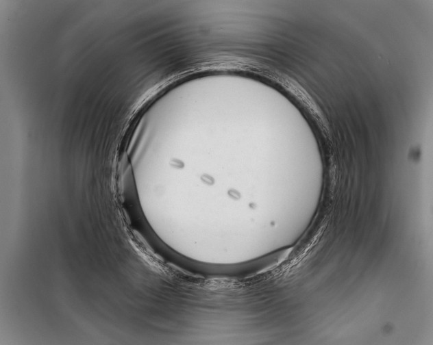 X0000099430842200805301427