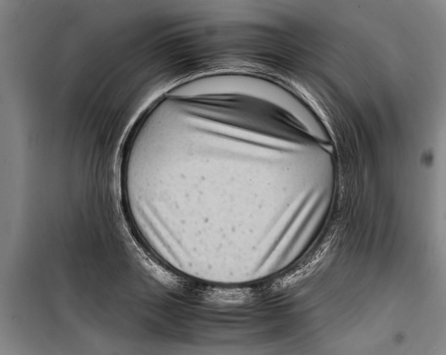 X0000099430843200805301427