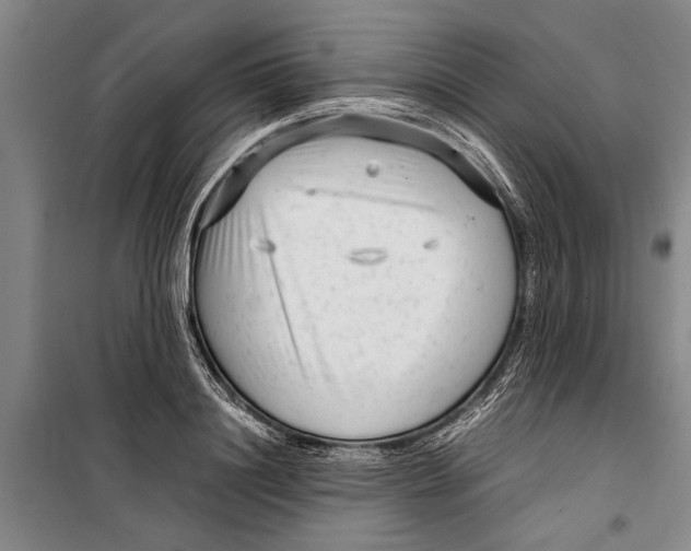 X0000099430844200805301427