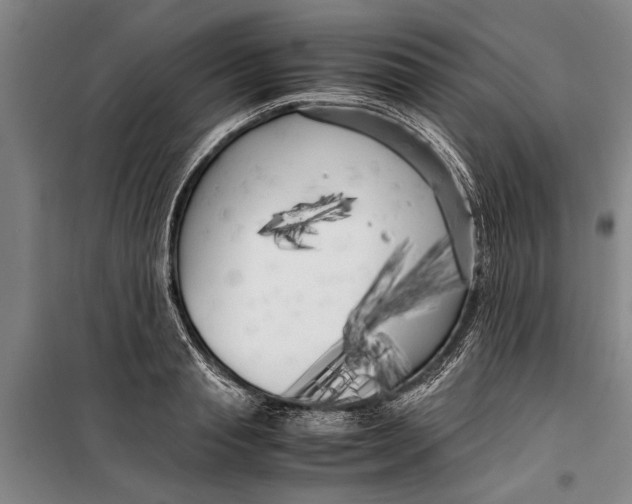 X0000099430845200805301427