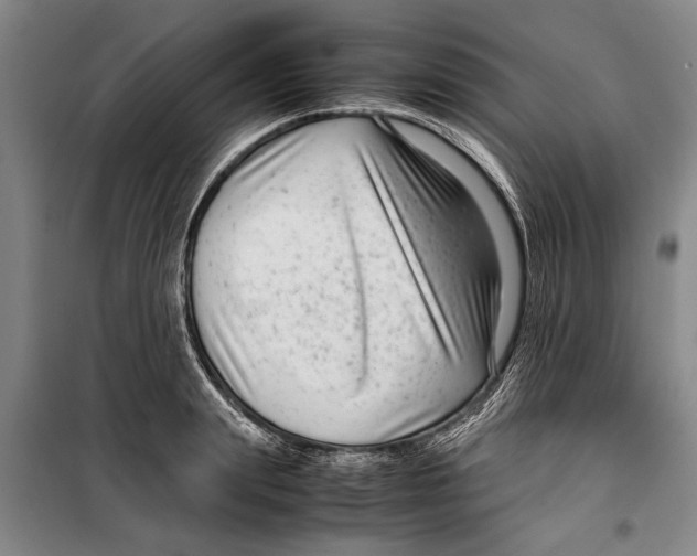 X0000099430847200805301427