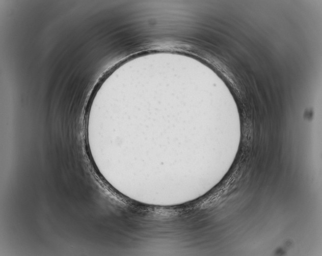 X0000099430848200805301427