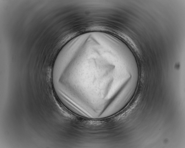 X0000099430849200805301427