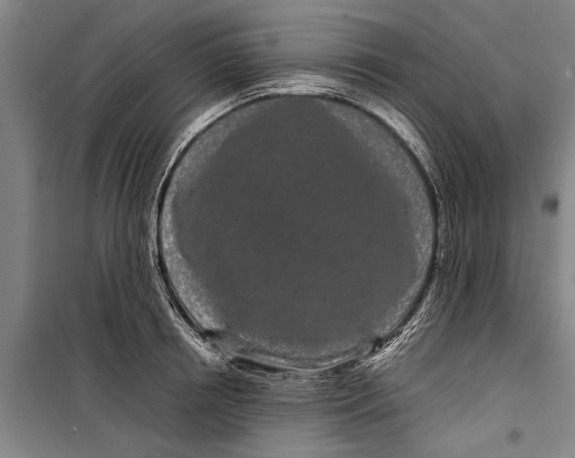 X0000099430850200805301427