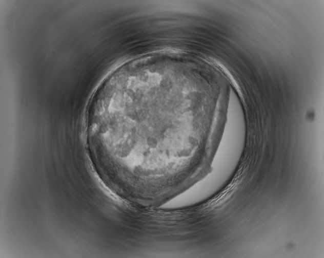 X0000099430851200805301427