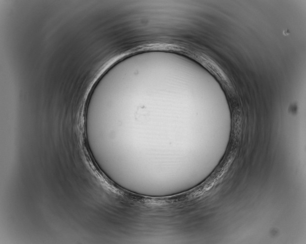 X0000099430852200805301427