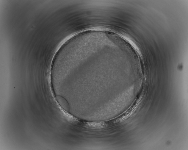 X0000099430853200805301427