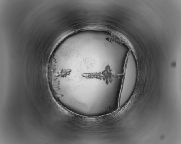 X0000099430855200805301427