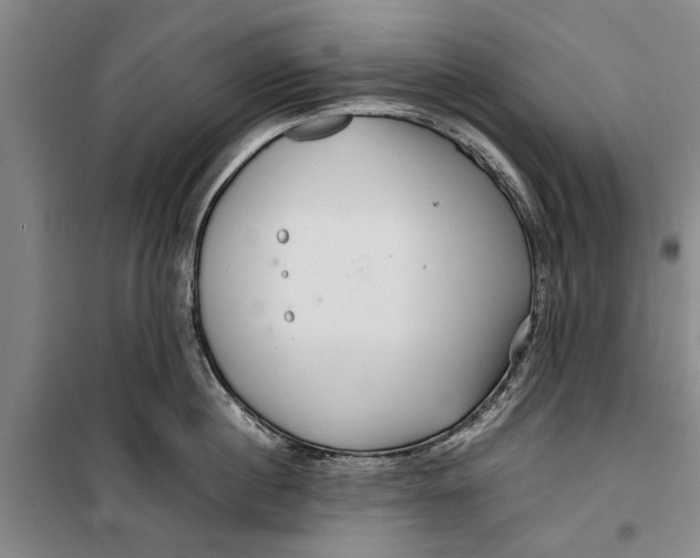 X0000099430860200805301427