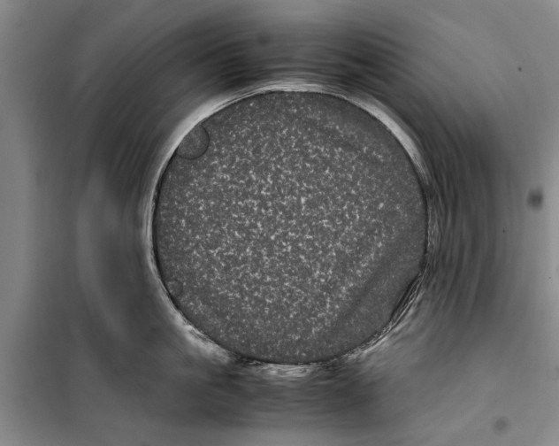 X0000099430861200805301427