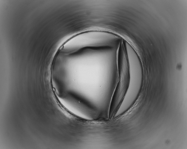 X0000099430862200805301427