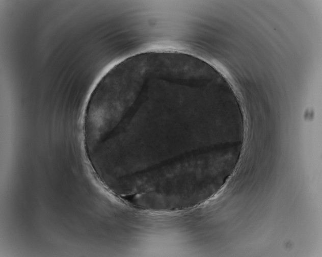 X0000099430864200805301427